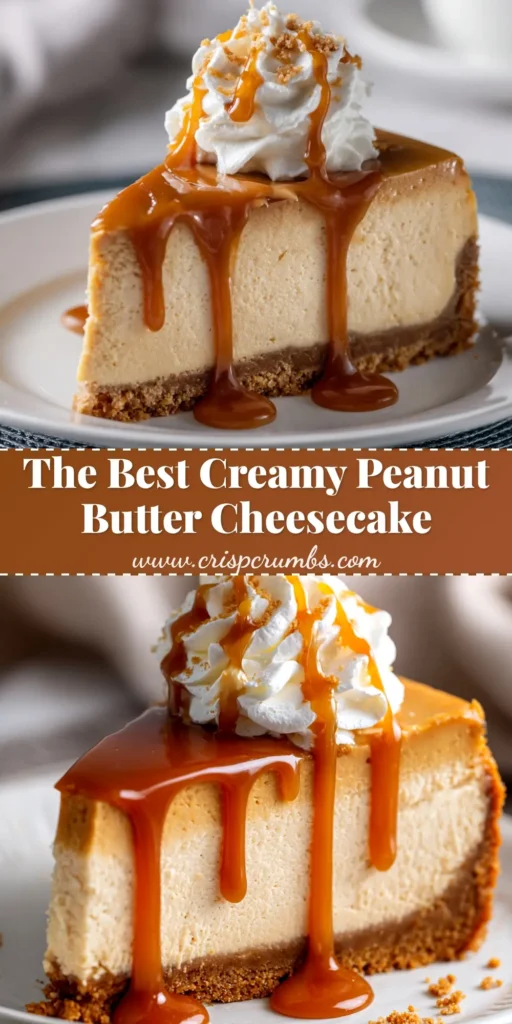 A perfect slice of creamy peanut butter cheesecake on a white plate, showing its rich texture and chocolate crust. The perfect dessert recipe for peanut butter lovers.